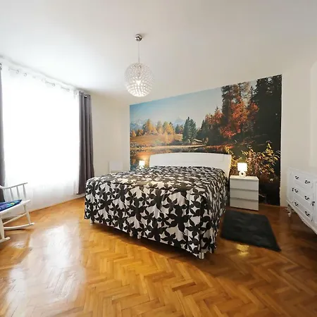 Ski Apartment